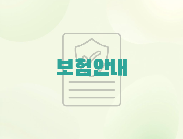 보험안내